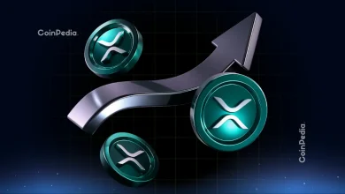 Will XRP Price Increase After Bitwise ETF Launches Today?