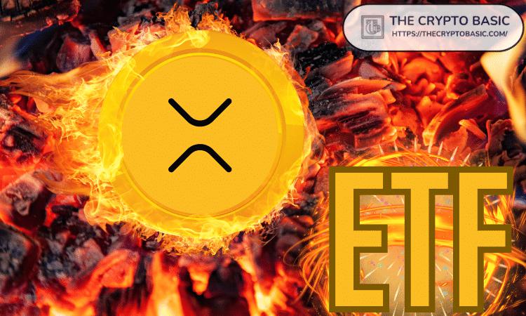 为什么XRP ETF尚未推动XRP价格上涨:专家解说